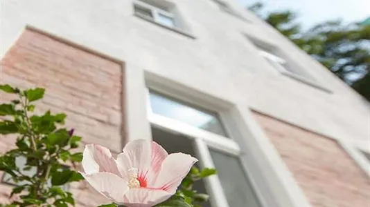 Apartments in Wien Ottakring - photo 9