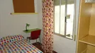 Room for rent, Córdoba, Andalucía, &lt;span class=&quot;blurred street&quot; onclick=&quot;ProcessAdRequest(7745901)&quot;&gt;&lt;span class=&quot;hint&quot;&gt;See streetname&lt;/span&gt;[xxxxxxxxxxxxx]&lt;/span&gt;