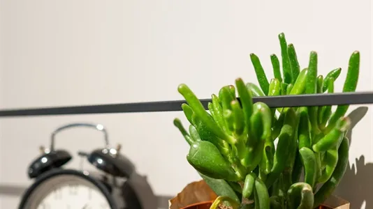 Apartments in Berlin Friedrichshain-Kreuzberg - photo 6