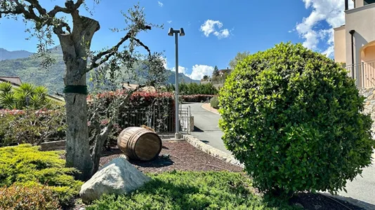 Apartments in Balestrino - photo 4