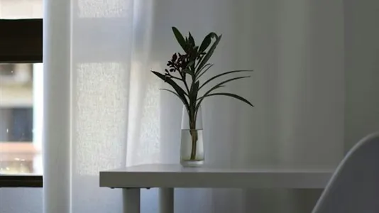 Rooms in Valencia Camins al Grau - photo 1