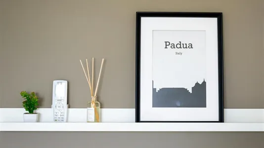 Rooms in Padua - photo 5