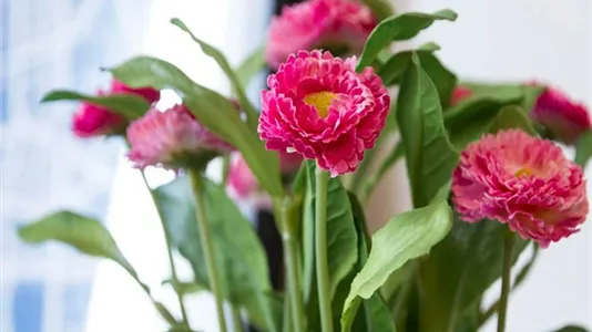 Rooms in Milano Zona 6 - Barona, Lorenteggio - photo 8