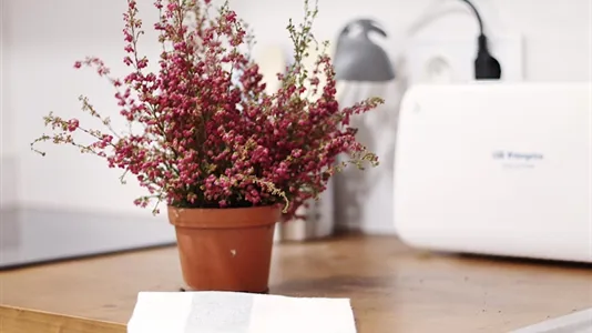 Rooms in Barcelona Sants-Montjuïc - photo 5