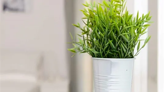 Rooms in Milano Zona 2 - Stazione Centrale, Gorla, Turro, Greco, Crescenzago - photo 6