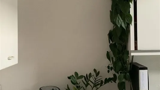 Rooms in Florence - photo 7