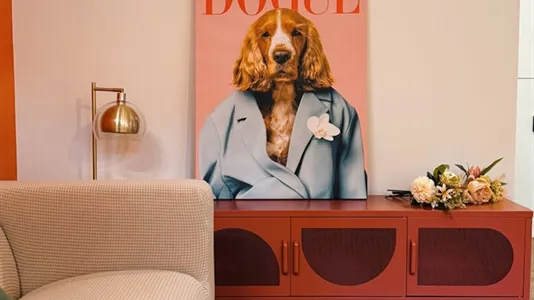 Rooms in Viana do Castelo - photo 10