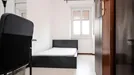 Room for rent, Milano Zona 3 - Porta Venezia, Città Studi, Lambrate, Milan, Via Giovanni Pacini