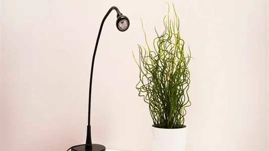 Rooms in Milano Zona 6 - Barona, Lorenteggio - photo 6