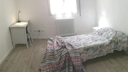 Room for rent in Bologna, Emilia-Romagna