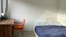 Apartment for rent, Münster, Nordrhein-Westfalen, &lt;span class=&quot;blurred street&quot; onclick=&quot;ProcessAdRequest(11537370)&quot;&gt;&lt;span class=&quot;hint&quot;&gt;See streetname&lt;/span&gt;[xxxxxxxxxxxxx]&lt;/span&gt;