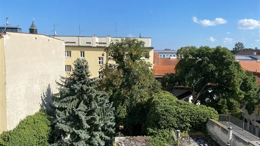 Rooms in Bad Fischau-Brunn - photo 10