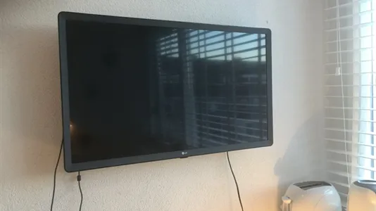 Rooms in Noordwijk - photo 4