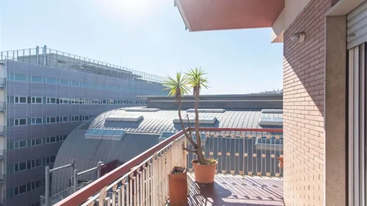 Rooms in Roma Municipio VIII – Appia Antica - photo 8