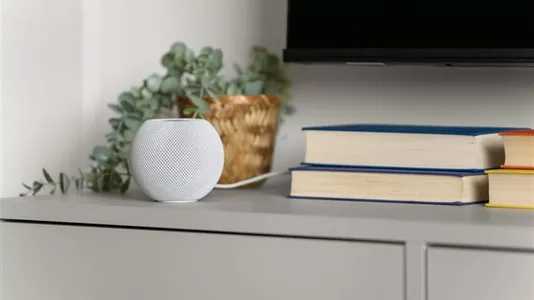 Apartments in Berlin Neukölln - photo 6