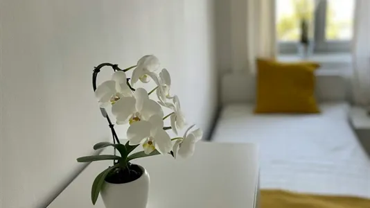 Rooms in Vienna Leopoldstadt - photo 4