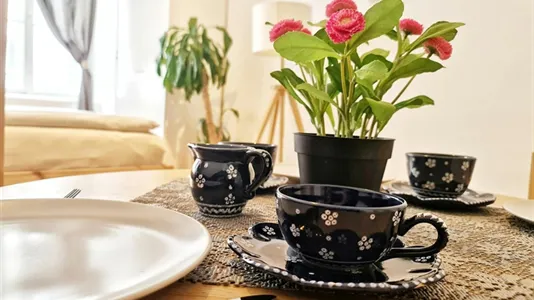 Apartments in Wien Rudolfsheim-Fünfhaus - photo 9