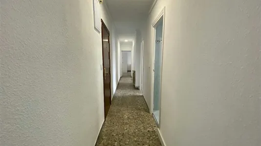 Rooms in Adaro - photo 9