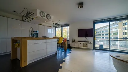 Room for rent in Rotterdam