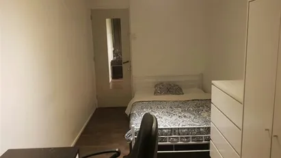 Room for rent in Rotterdam
