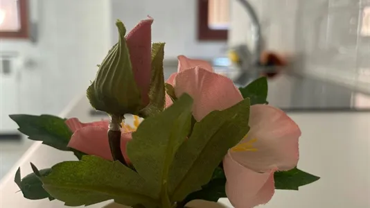 Rooms in Bologna - photo 6