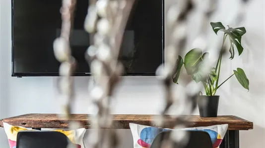 Apartments in Dusseldorf - photo 5