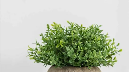 Apartments in Roma Municipio I – Centro Storico - photo 10