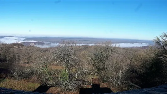 Houses in Albi - photo 5