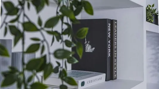 Rooms in Valencia La Zaidía - photo 10