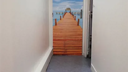 Room for rent in Lille, Hauts-de-France