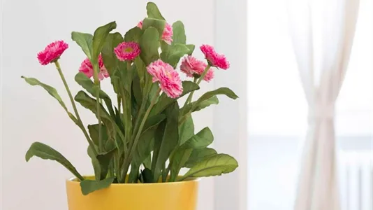 Rooms in Milano Zona 6 - Barona, Lorenteggio - photo 8