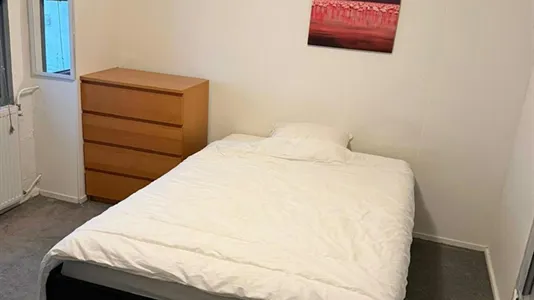 Rooms in Utrechtse Heuvelrug - photo 5