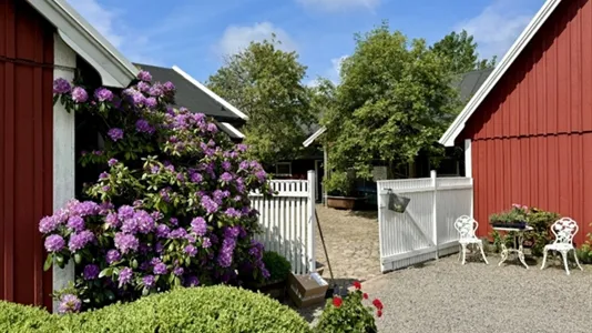 Houses in Båstad - photo 5