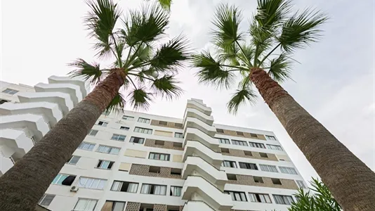 Apartments in Alcúdia - photo 4