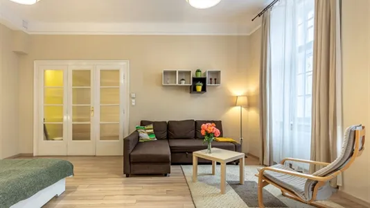 Apartments in Budapest Ferencváros - photo 10