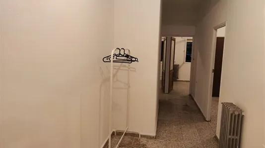 Apartments in Monforte de Lemos - photo 8