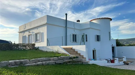 Houses in Faro - photo 5