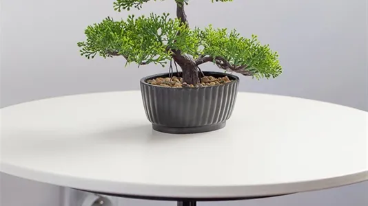 Apartments in Wrocław - photo 5