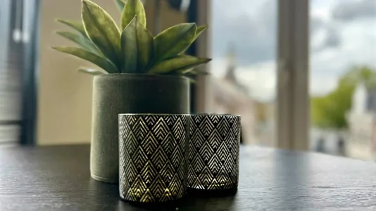 Apartments in Schiedam - photo 10