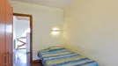 Room for rent, Roma Municipio XI – Arvalia/Portuense, Rome, &lt;span class=&quot;blurred street&quot; onclick=&quot;ProcessAdRequest(7737765)&quot;&gt;&lt;span class=&quot;hint&quot;&gt;See streetname&lt;/span&gt;[xxxxxxxxxxxxx]&lt;/span&gt;