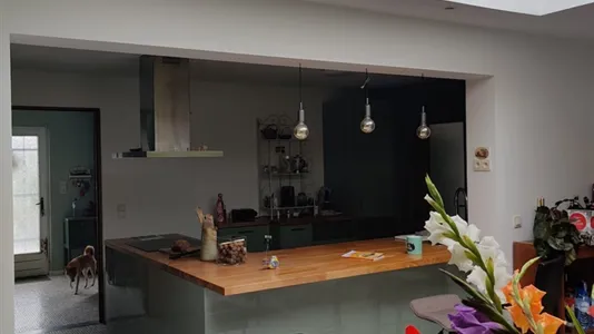 Rooms in Gerpinnes - photo 8