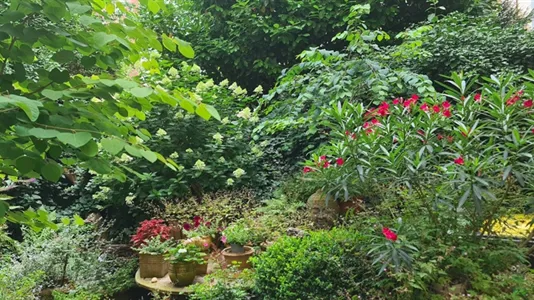 Rooms in Frankfurt Innenstadt I - photo 10