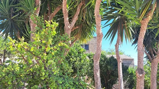 Houses in Chania - photo 3