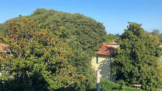 Rooms in Padua - photo 9