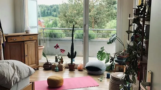 Rooms in Affoltern - photo 2