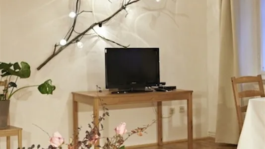 Apartments in Vienna Margareten - photo 6