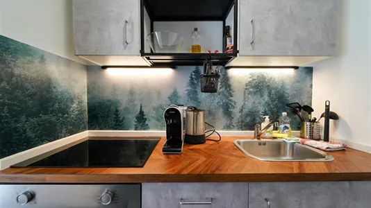 Apartments in Bad Fischau-Brunn - photo 9