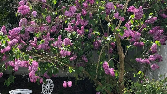 Rooms in Brussels Elsene - photo 9