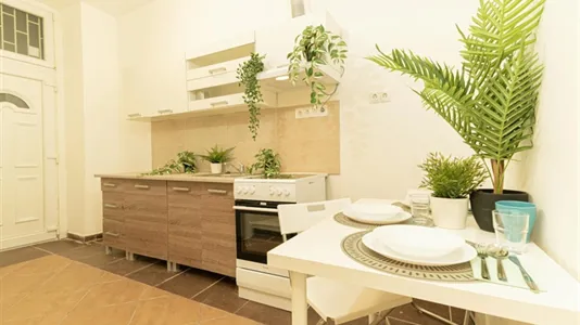 Apartments in Budapest Várkerület - photo 8