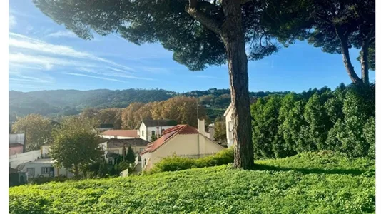 Houses in Sintra - photo 5